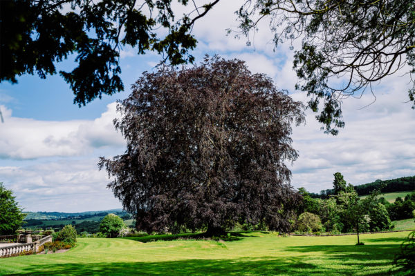 _0002_BREDENBURY-COURT-ELLIOT-W-PATCHING-PHOTOGRAPHY38